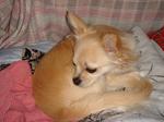 20060618 003.jpg