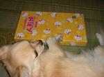 20060816 009.jpg